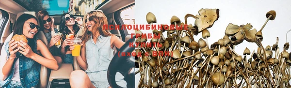 стафф Краснотурьинск