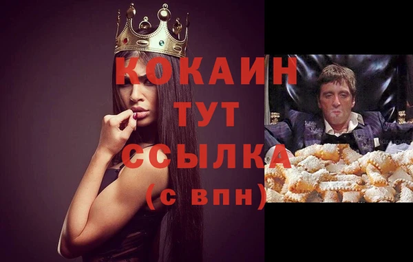стафф Краснотурьинск
