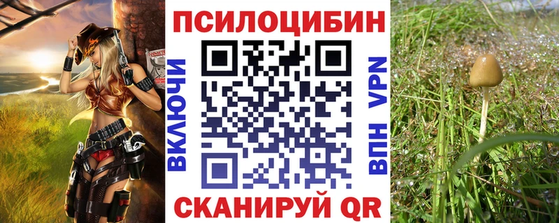 Псилоцибиновые грибы GOLDEN TEACHER  Купить закладки  Кирсанов 